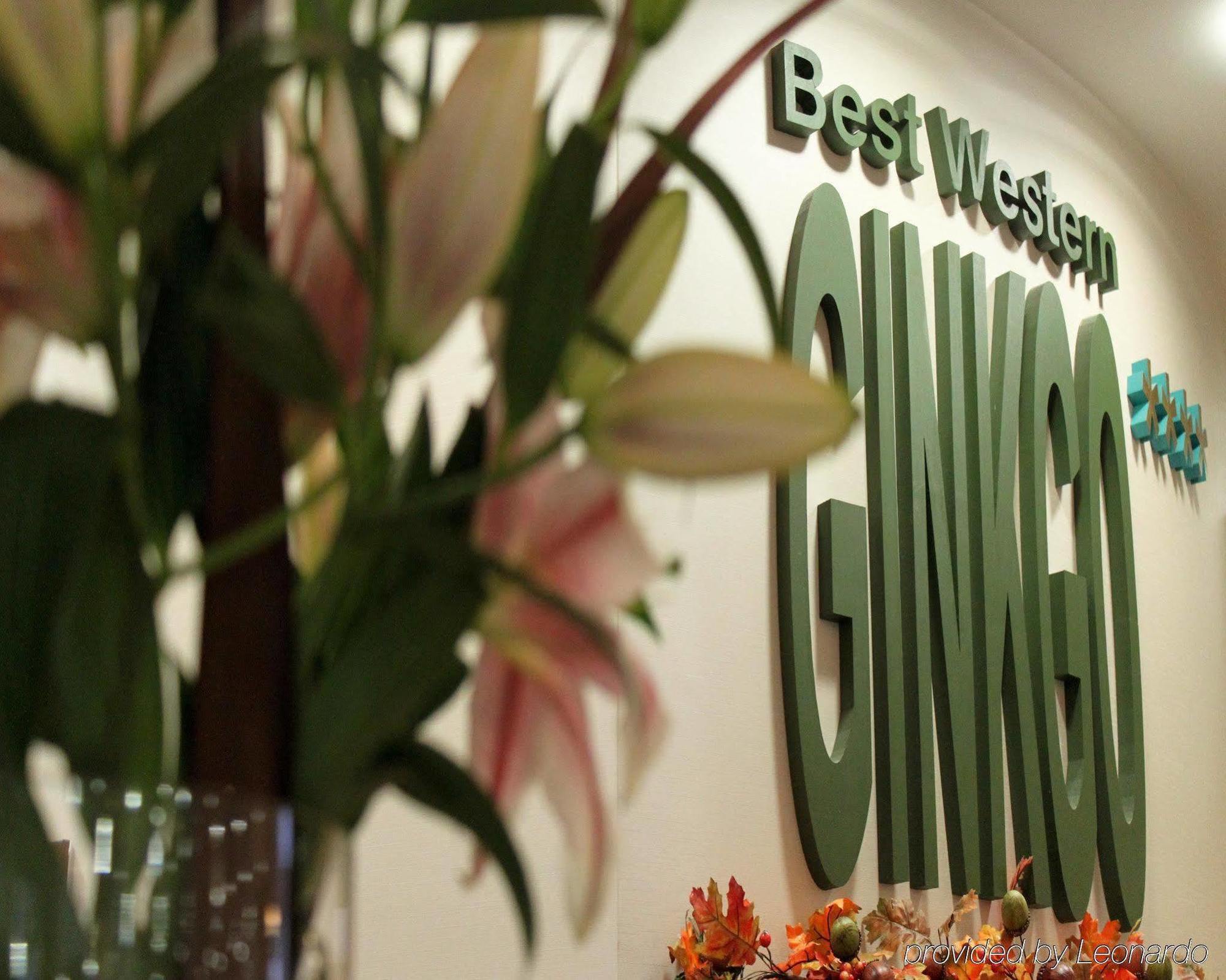 Hotel Ginkgo Hódmezővásárhely Eksteriør billede